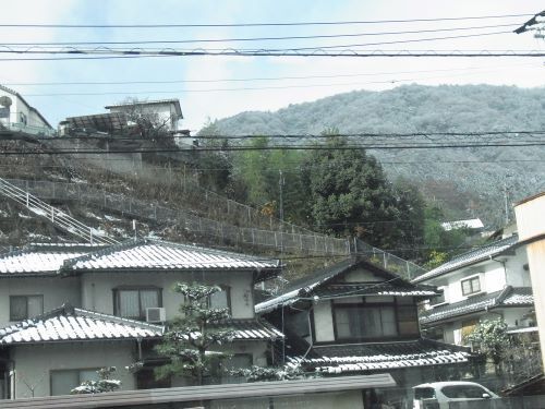 R0011959.JPG