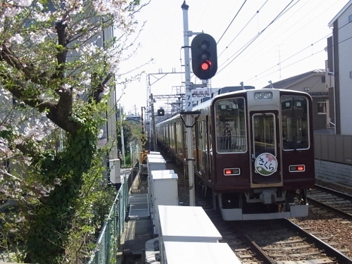 RIMG0060 (500x375).jpg