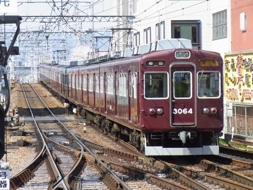 RIMG0064 (500x375).jpg