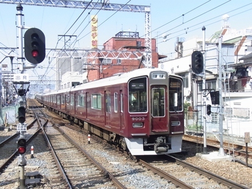 RIMG0065 (500x375).jpg