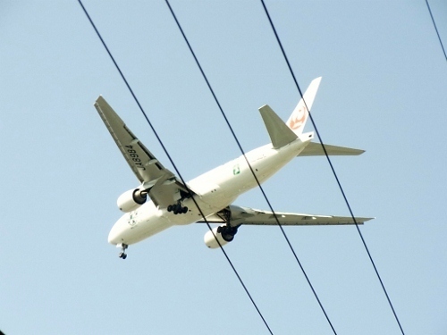 RIMG0066 (500x375).jpg