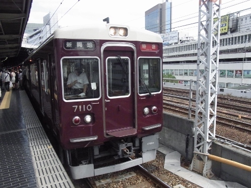 RIMG0229 (500x374).jpg