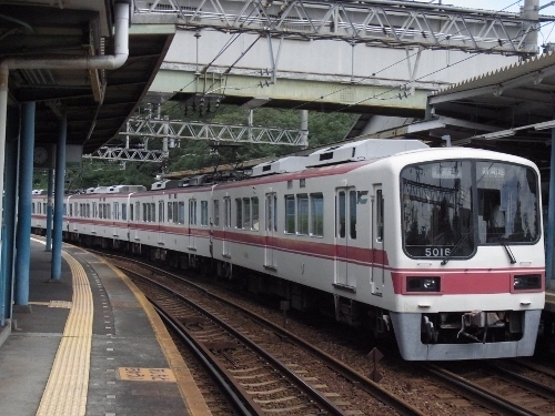 RIMG0246 (500x375).jpg