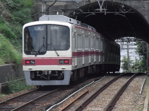 RIMG0247 (500x375).jpg