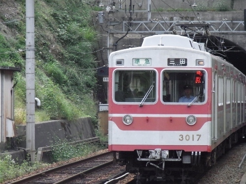 RIMG0250 (500x375).jpg