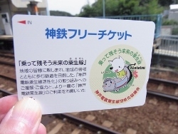 RIMG0252 (250x188).jpg