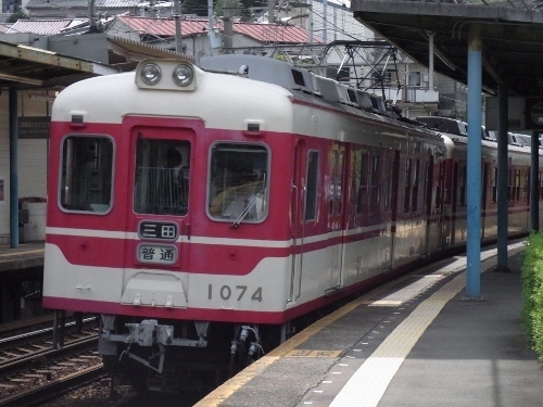 RIMG0256 (500x375).jpg