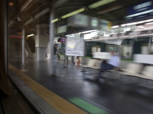 RIMG0328 (500x375).jpg