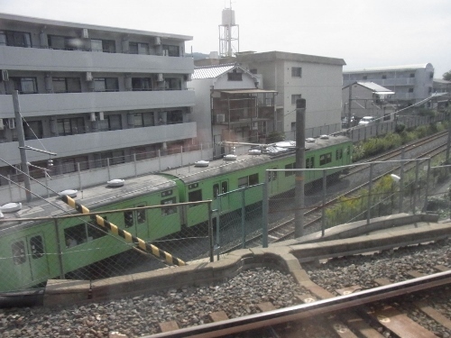 RIMG0339 (500x375).jpg