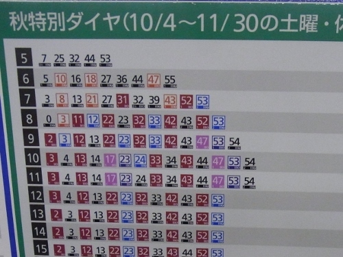 RIMG0344 (500x375).jpg
