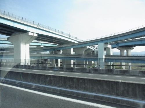 RIMG0446 (500x375).jpg