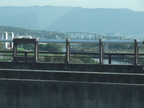 RIMG0448 (500x375).jpg