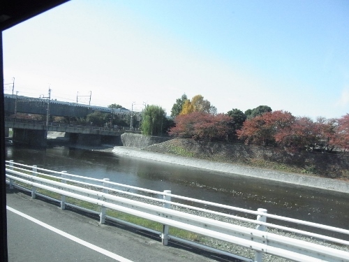 RIMG0455 (500x375).jpg