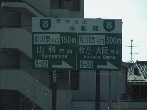 RIMG0456 (500x375).jpg