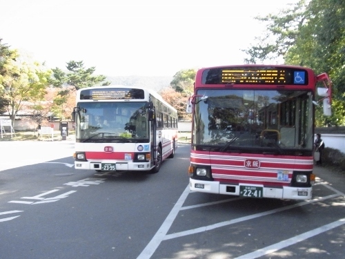 RIMG0459 (500x375).jpg