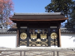 RIMG0464 (250x188).jpg