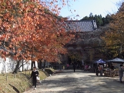 RIMG0465 (250x188).jpg