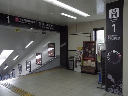 RIMG0501 (500x374).jpg