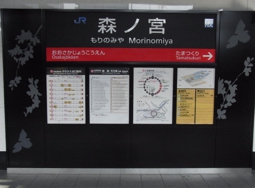 RIMG0513 (500x368).jpg