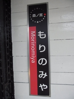 RIMG0521 (300x400).jpg