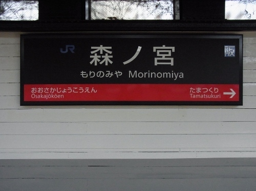RIMG0522 (500x372).jpg