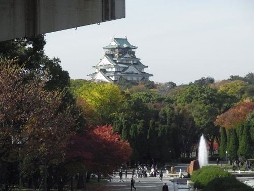 RIMG0526 (500x375).jpg