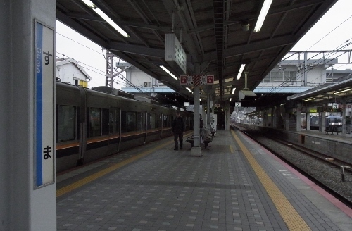RIMG0551 (500x328).jpg