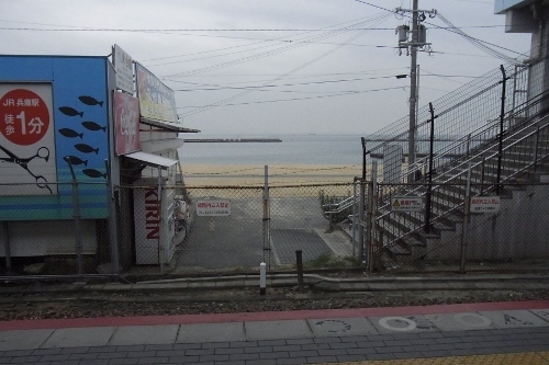 RIMG0554 (500x333).jpg