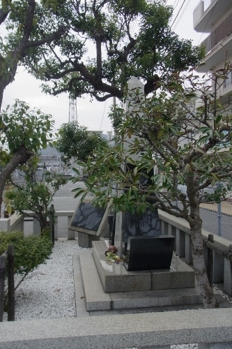 RIMG0560 (333x500).jpg