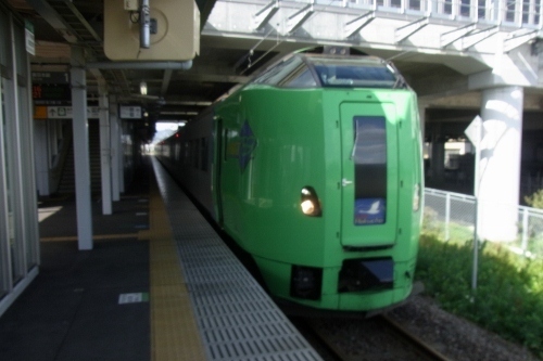 RIMG0577 (500x333).jpg