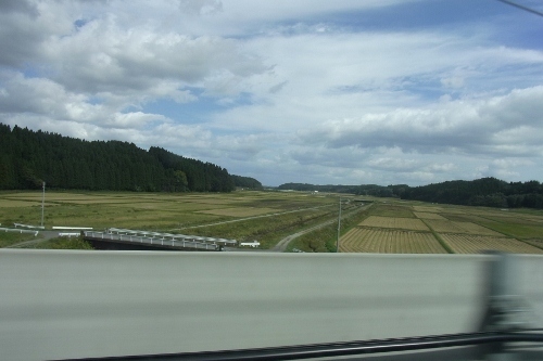 RIMG0587 (500x333).jpg