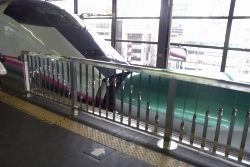 RIMG0594 (250x167).jpg