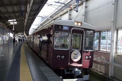 RIMG0598 (480x320).jpg