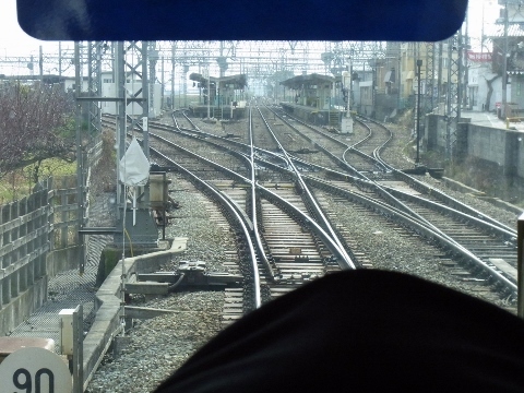 RIMG0656 (480x360).jpg
