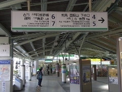 RIMG0668 (240x180).jpg