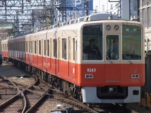 RIMG0690 (500x375).jpg