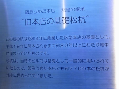 RIMG0741 (500x374).jpg