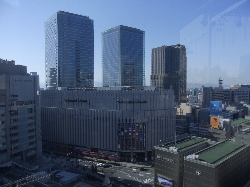 RIMG0746 (500x375).jpg