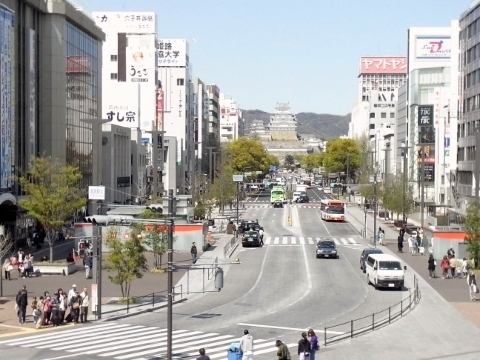RIMG0883 (480x360).jpg
