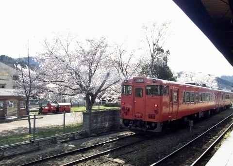 RIMG0911 (480x343).jpg