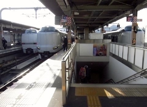 RIMG0920 (480x349).jpg