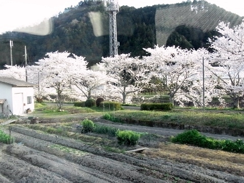 RIMG0926 (480x360).jpg
