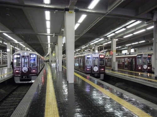 RIMG0993 (500x375).jpg