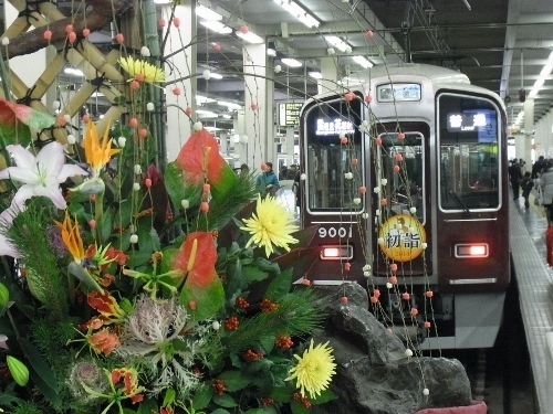 RIMG0995 (500x375).jpg