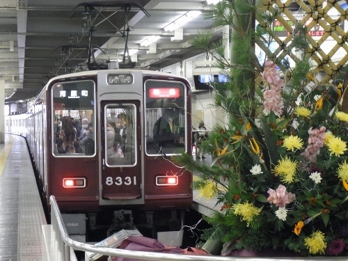 RIMG0997 (500x375).jpg