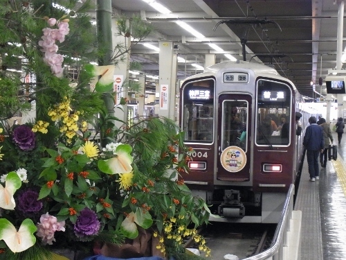 RIMG0998 (500x375).jpg