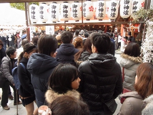 RIMG1010 (500x375).jpg