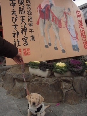 RIMG1014 (300x400).jpg