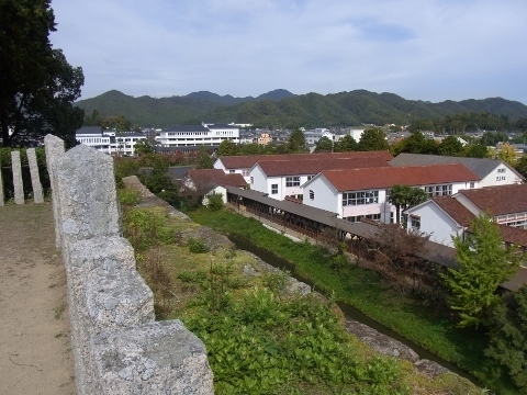 RIMG1067 (480x360).jpg