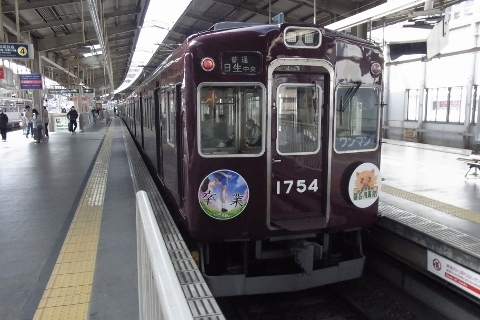 RIMG1108 (480x320).jpg